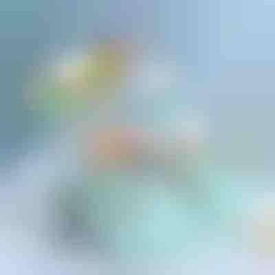 Kuti Multinivel për Ruajtje | BOKSARA