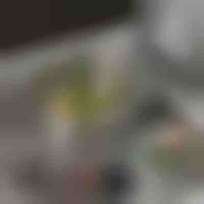 Shportë kullimi që filtrohet dhe ruhet lehtësisht | EVOSINK